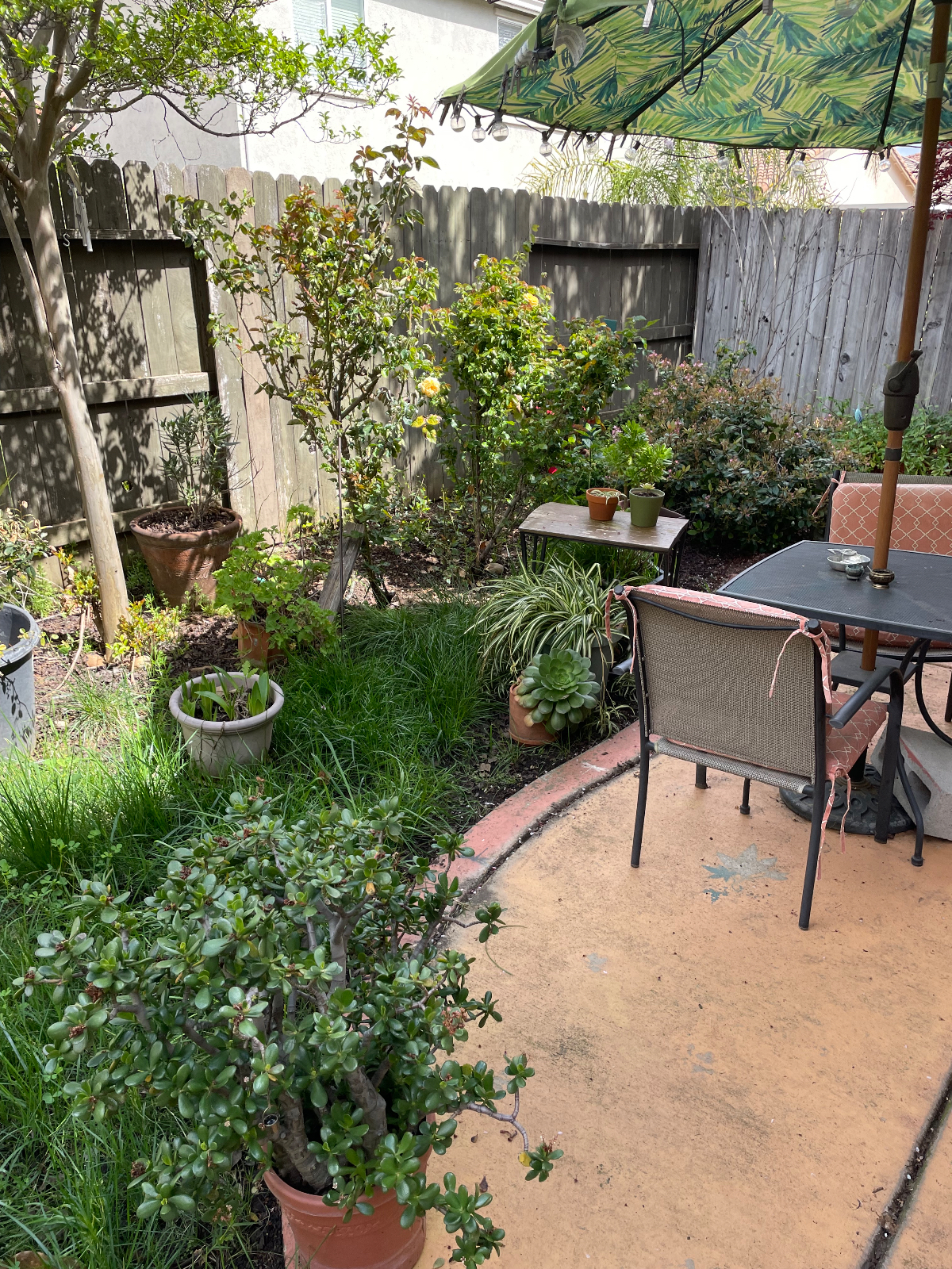 Lovely home environment - Photo 4