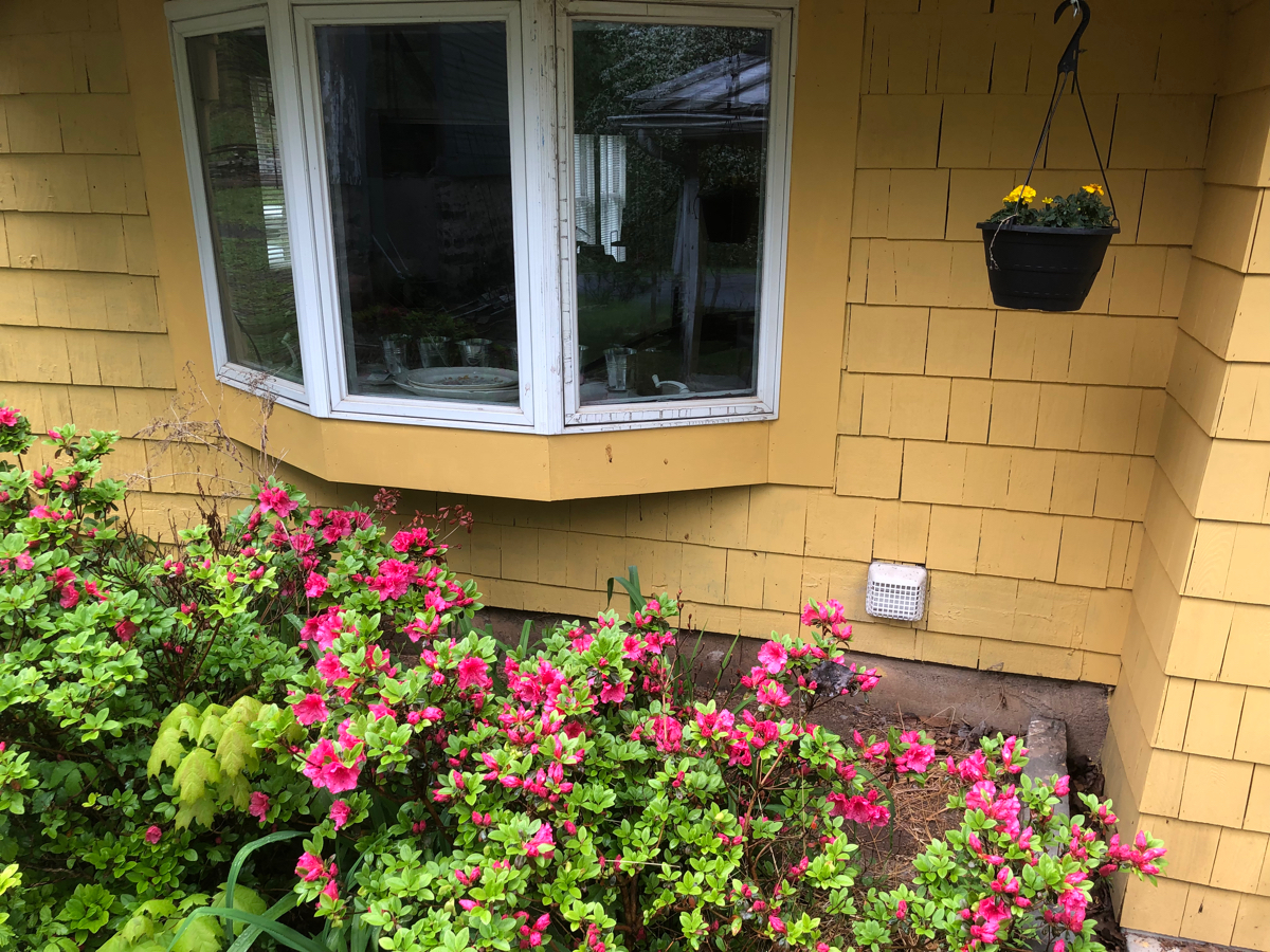 The Cottage - Photo 3
