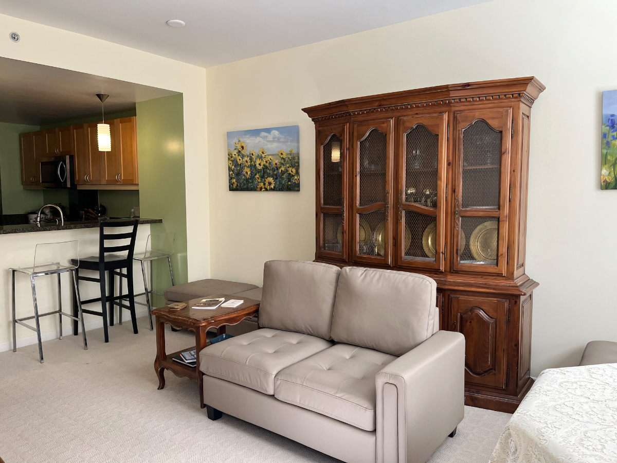 Affordable TURN-KEY Rental Opportunity for a Professional Future Resident. - Photo 6