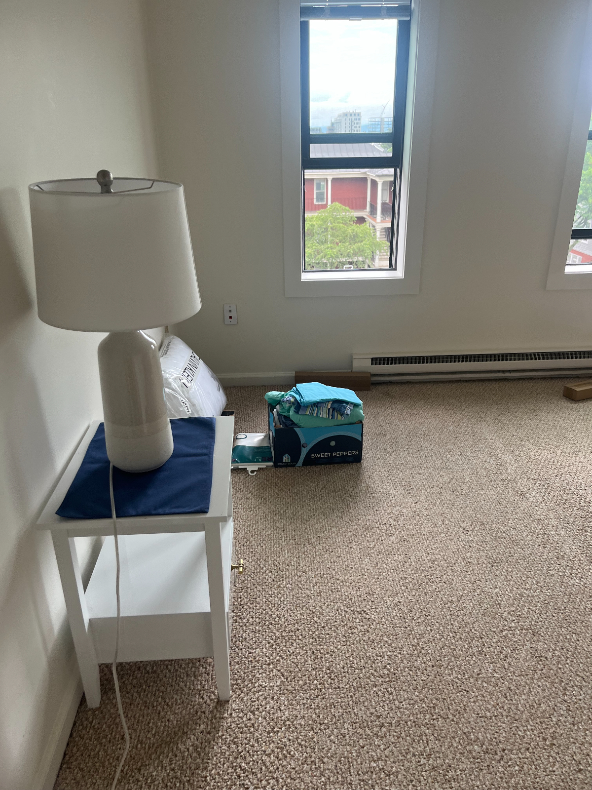 ROOMMATE WANTED FOR VISUALLY IMPAIRED UVM FEMALE STUDENT - Photo 8