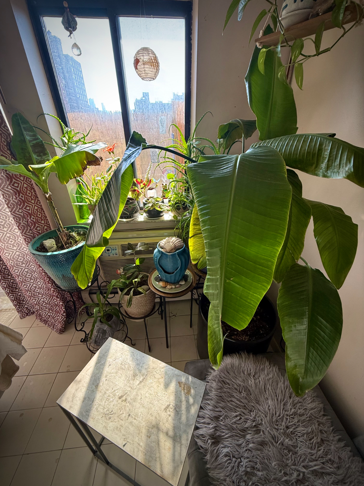 Sunlit Furnished 1BR Sanctuary with Balcony Utilities and Wi-Fi Included - Photo 3
