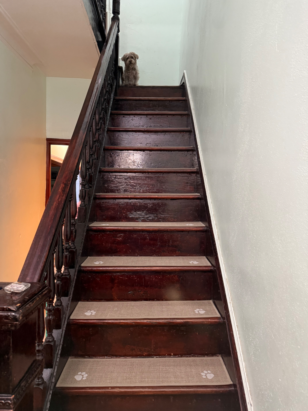 Bright, Fully Furnished 1-Bedroom with Open Living Space and Utilities Include - Photo 3
