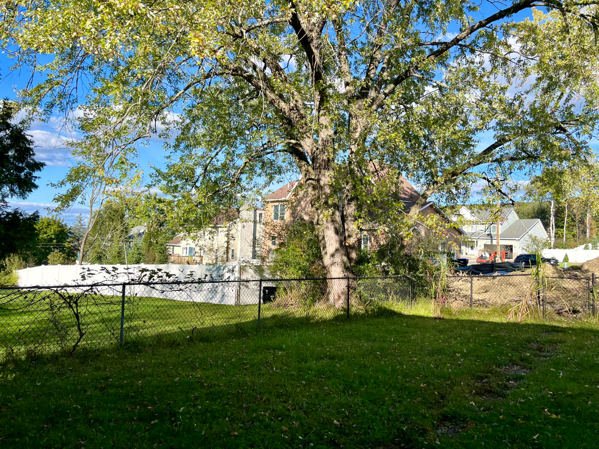 Vestal Vista near UHS/Guthrie Binghamton - Photo 4