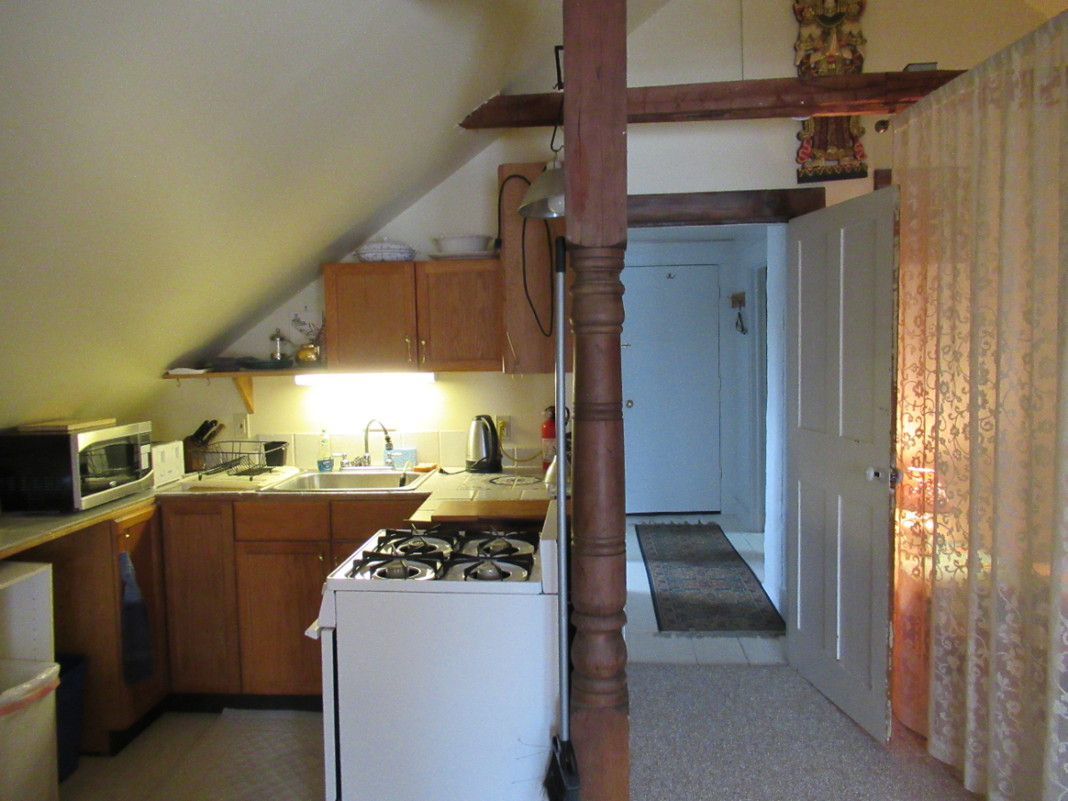 Garden Flat in the Village - Photo 3