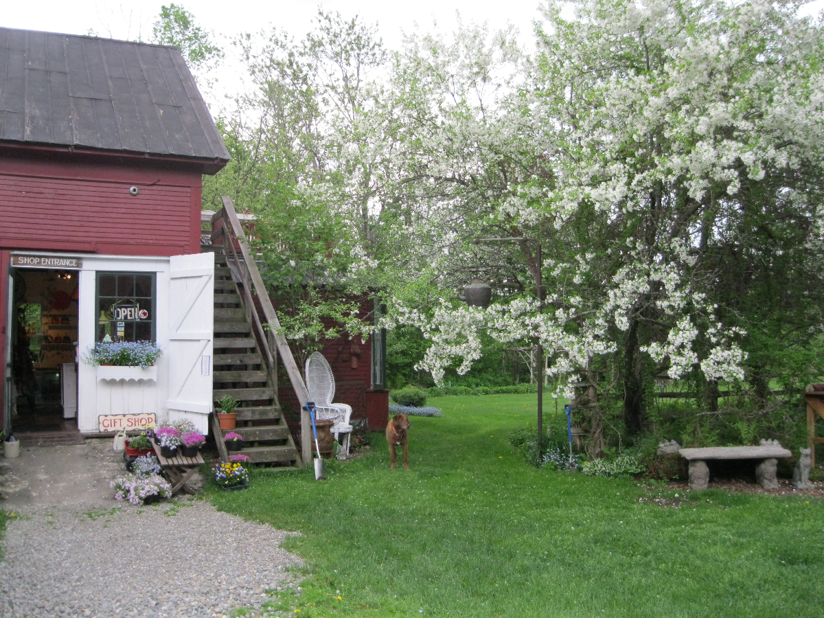 Garden Flat in the Village - Photo 4
