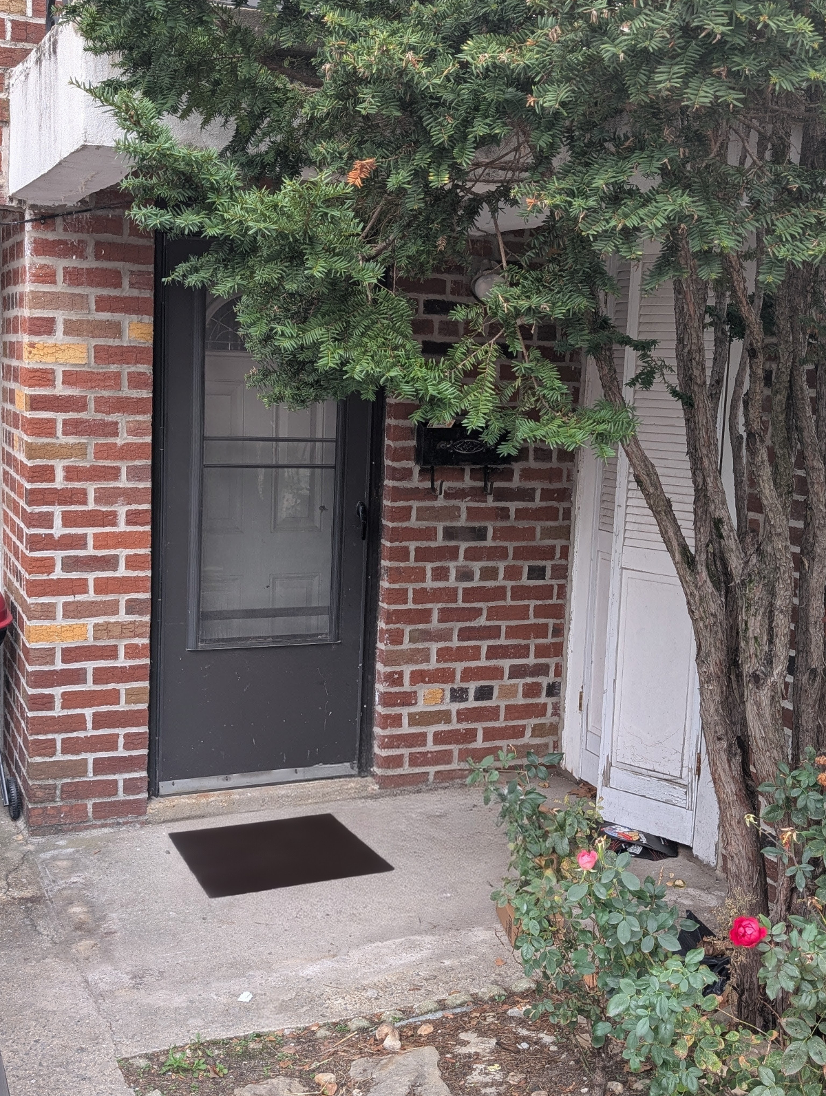 Modern 1BR Garden Apartment in Quiet Canarsie - Private Backyard & Office - Photo 2
