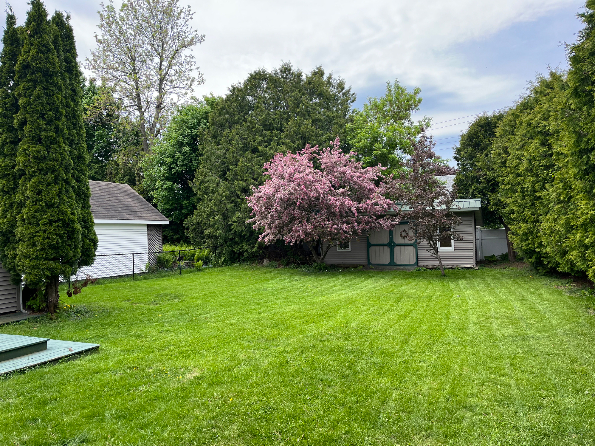 Walk to CVPH - Cozy 'West End' Plattsburgh Home - Photo 1