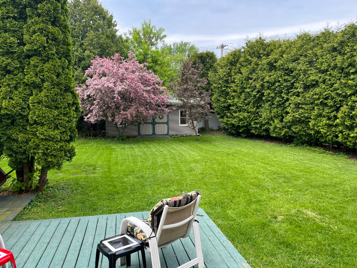 Walk to CVPH - Cozy 'West End' Plattsburgh Home - Photo 2