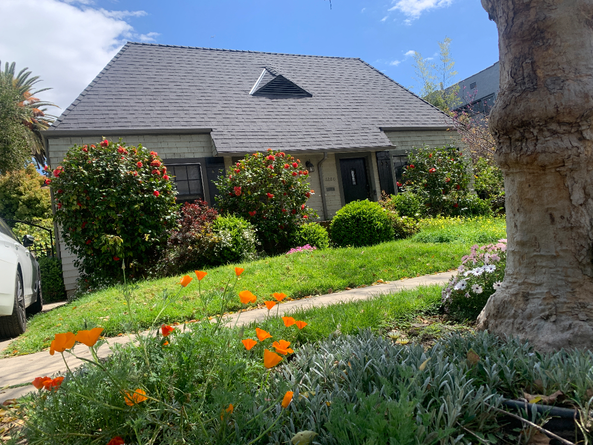 BEAUTIFULLY RENOVATED WITH SUNNY OUTDOOR PATIO AND GARDEN - Photo 2
