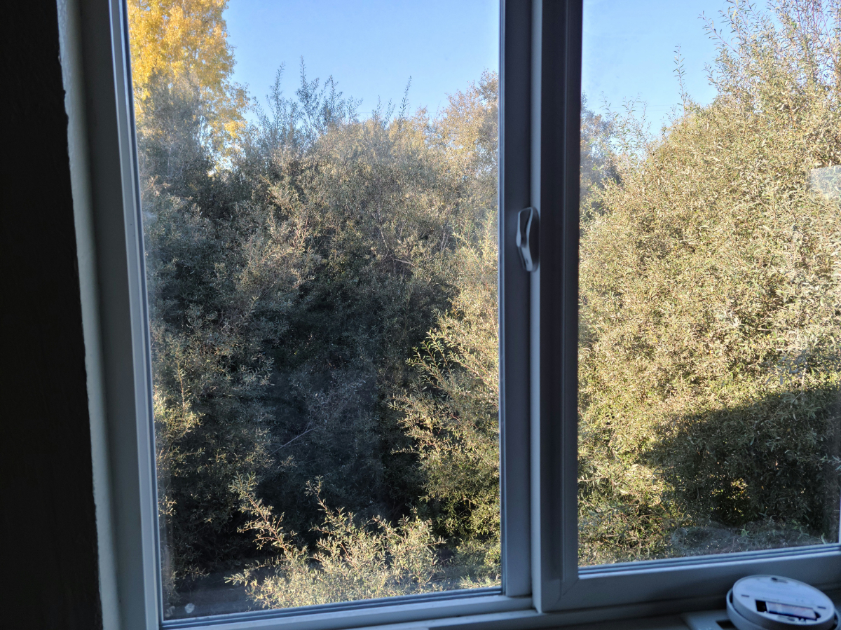 1 bed 1 bath private apartment near Watsonville - Photo 4