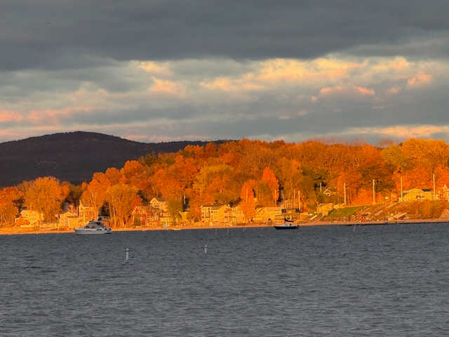 Stunning Waterfront Townhouse near Medical Center - Photo 3