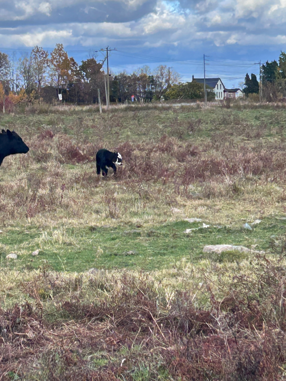 1 Bedroom Farm Setting Near 2 Hospitals - Photo 9