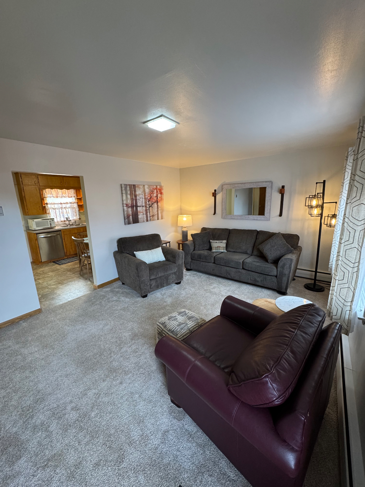 2 bedroom, fully furnished WITH GARAGE - Photo 5