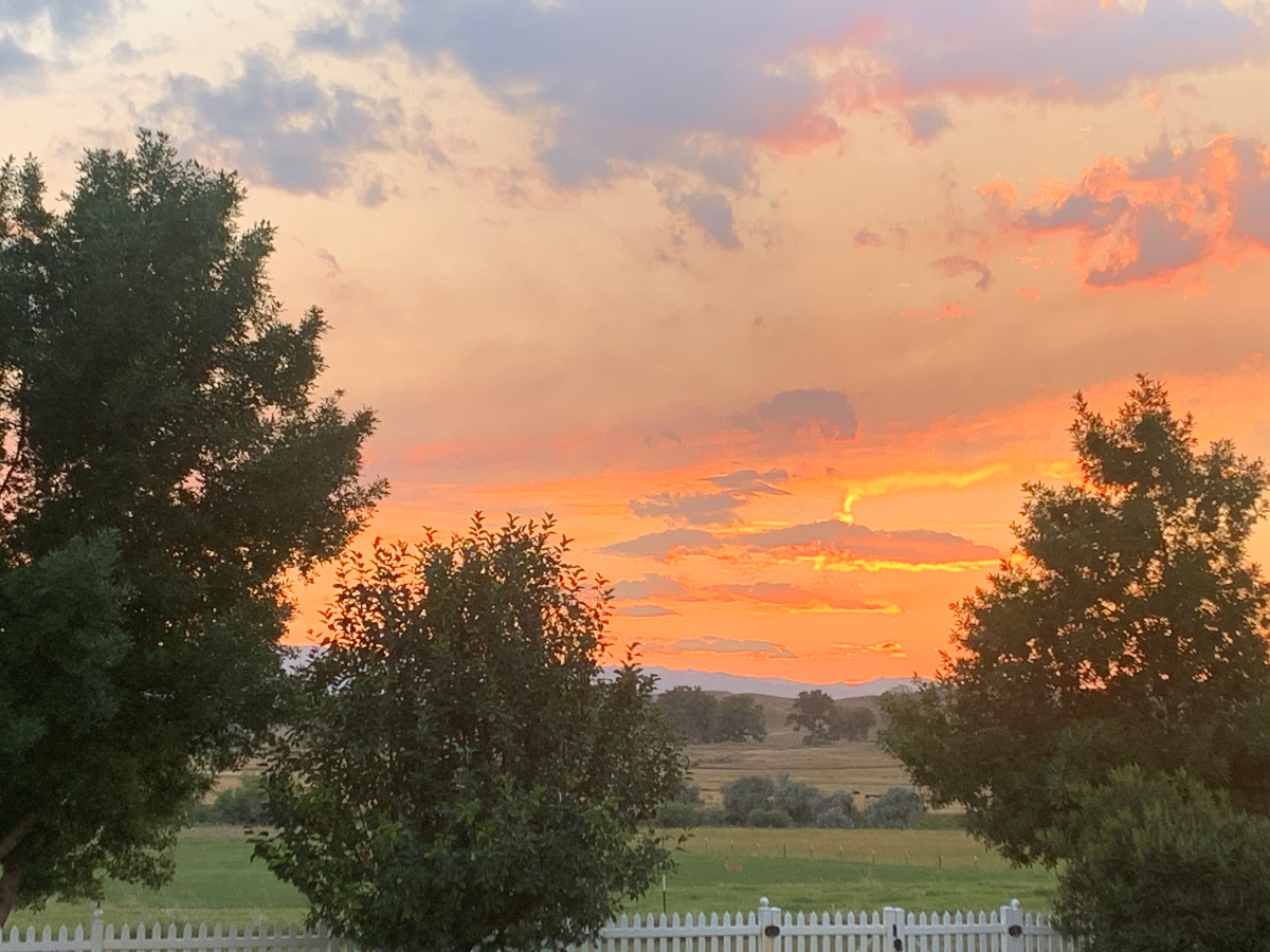 Carriage house by the Big Horn Mountains. - Photo 3