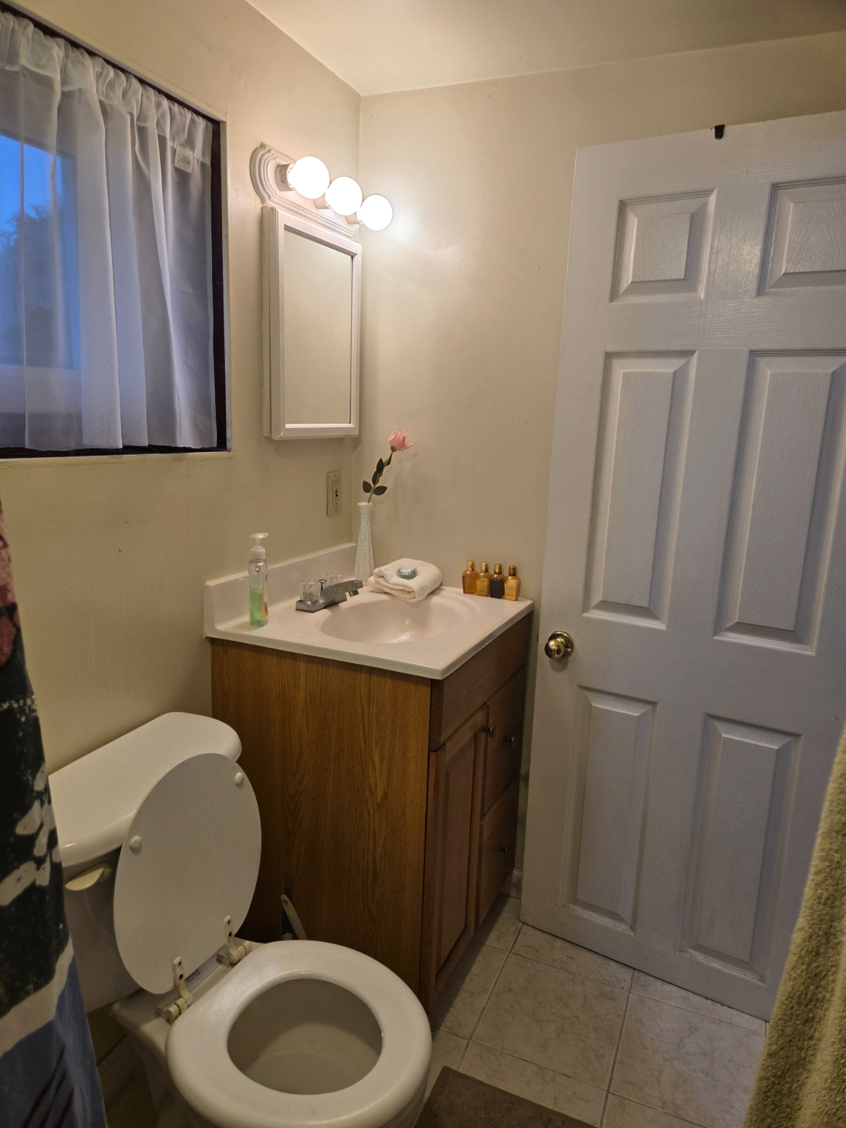 Takoma DC Garden Studio Apt Walk to Red Line Metro Station - Quiet, 1 Block St, Convenient (NW, Gard - Photo 12
