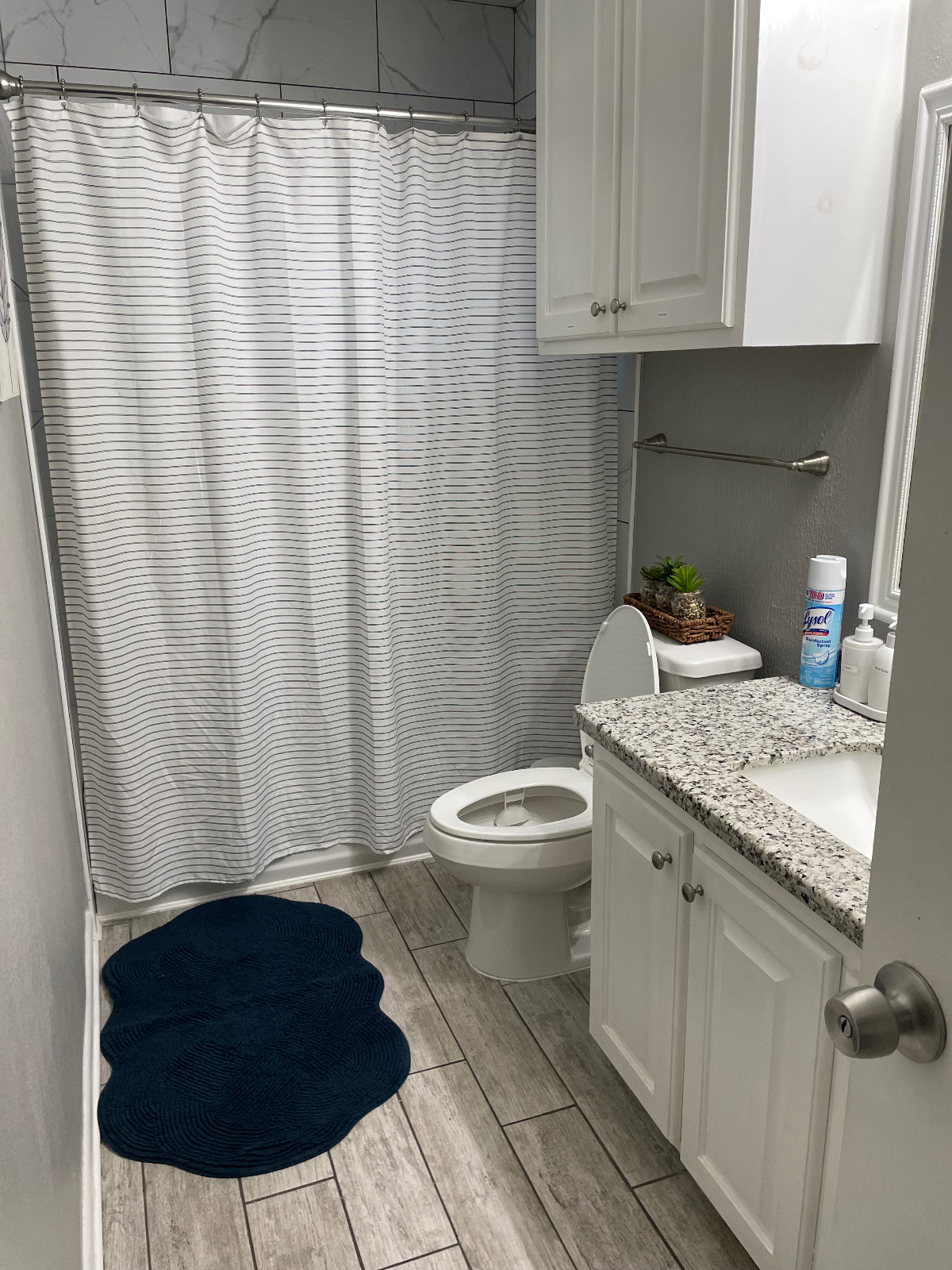 Beautiful 3/2 Bedroom Home - Photo 8