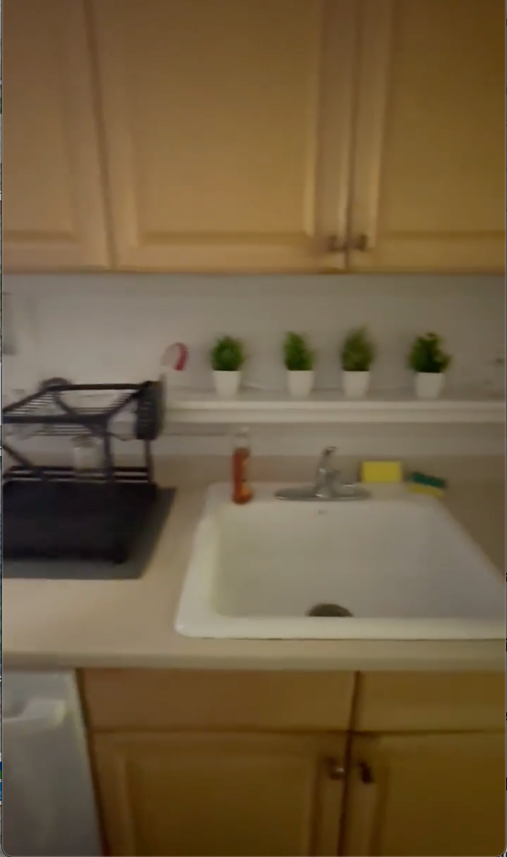 Gramercy 2 connected units- Studio $2900 available Dec 1,    3 Bedroom, 2 bath $6600  available Dec  - Photo 7