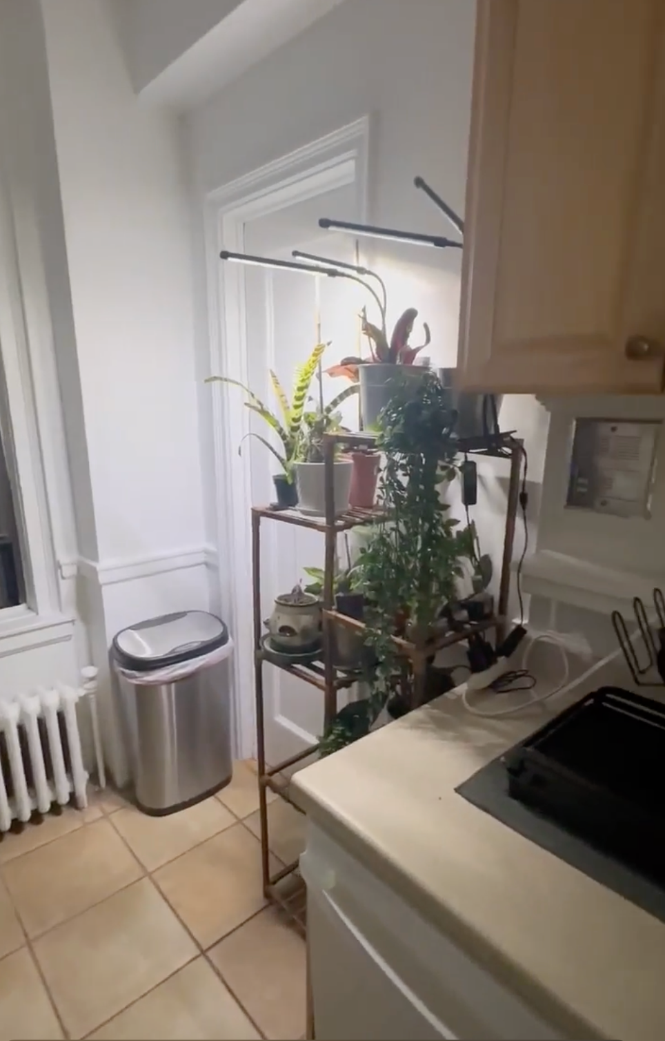 Gramercy 2 connected units- Studio $2900 available Dec 1,    3 Bedroom, 2 bath $6600  available Dec  - Photo 6