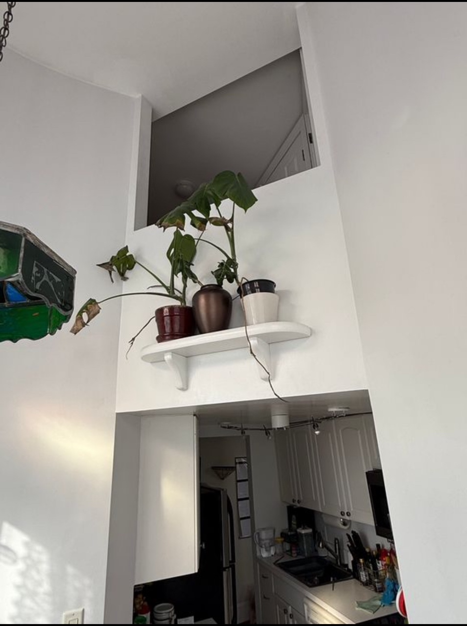 Cozy in Capitol Hill, Steps from Eastern Market Metro Stop - Photo 5