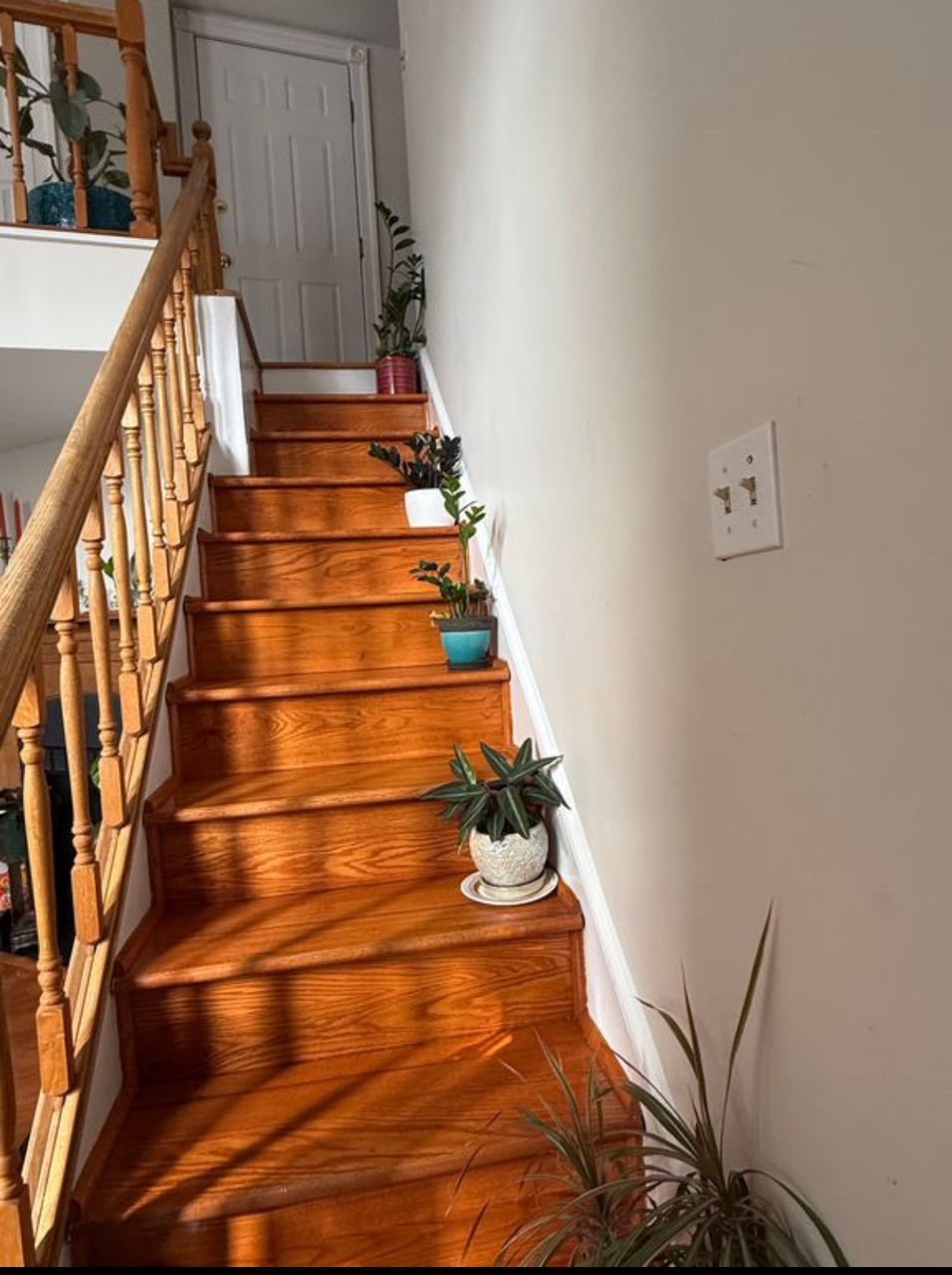 Cozy in Capitol Hill, Steps from Eastern Market Metro Stop - Photo 9