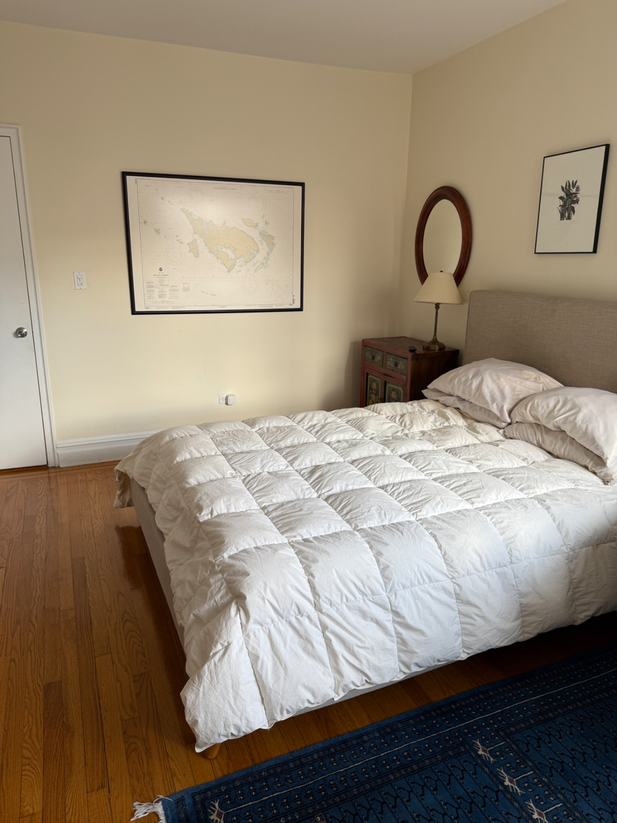 Bright And Cozy Queen Room With Full Apartment Access In Prime Location Near Top Hospitals - Photo 2