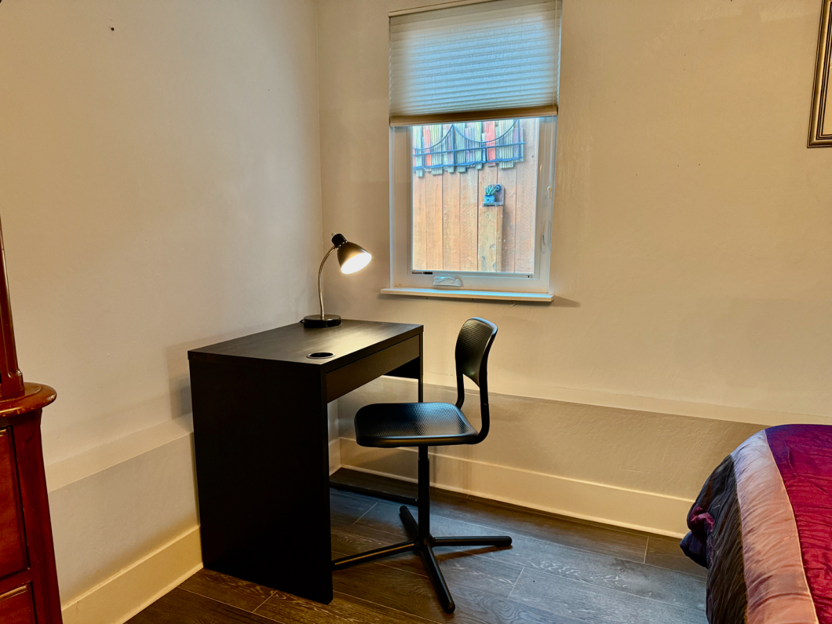 Bright Master Room W/ Ensuite Bath, Walk-In Closet - Photo 4