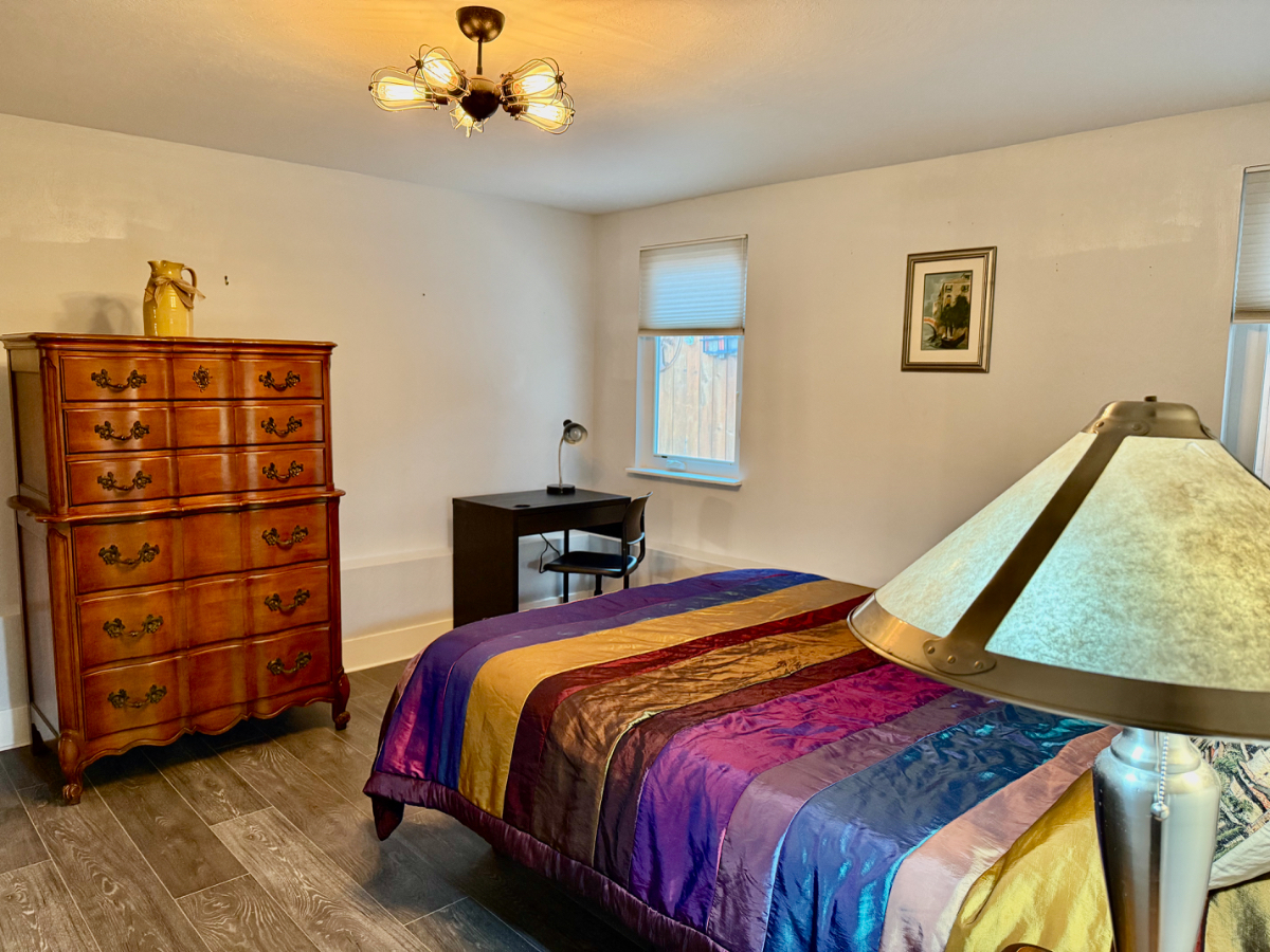 Bright Master Room W/ Ensuite Bath, Walk-In Closet - Photo 3