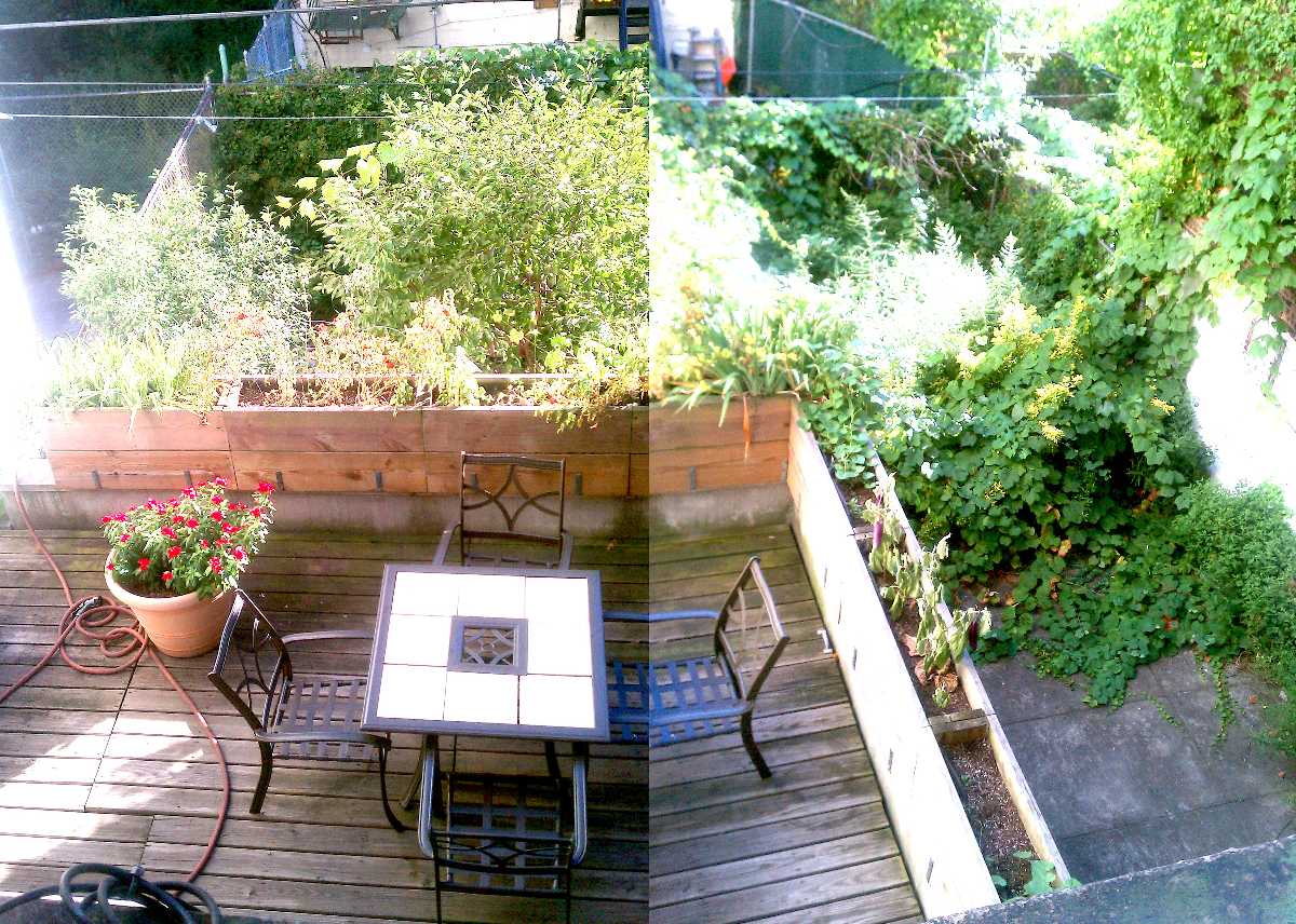 Harlem's Finest apartment and garden - Photo 4
