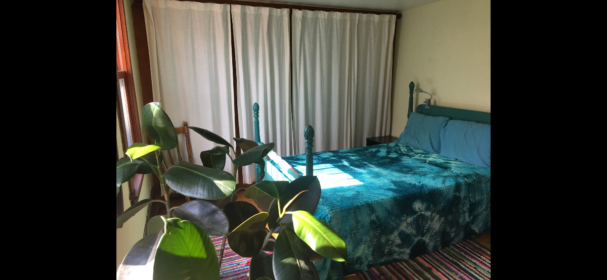 Room rental in Cozy Craftsman Bungalow - Photo 1