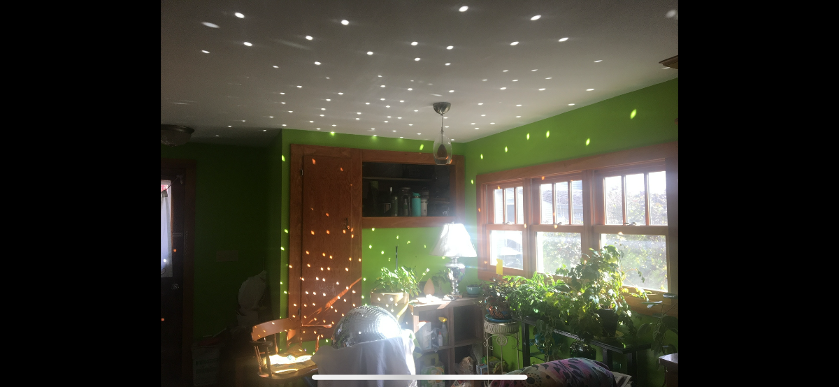 Room rental in Cozy Craftsman Bungalow - Photo 4