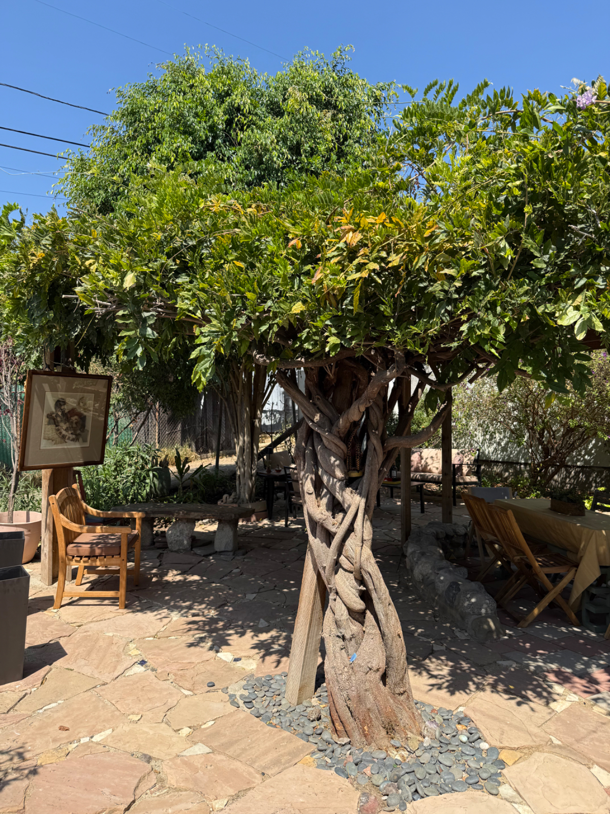 Cozy Bungalow near DTLA/Pasadena/Highland Park/Silverlake - Photo 3