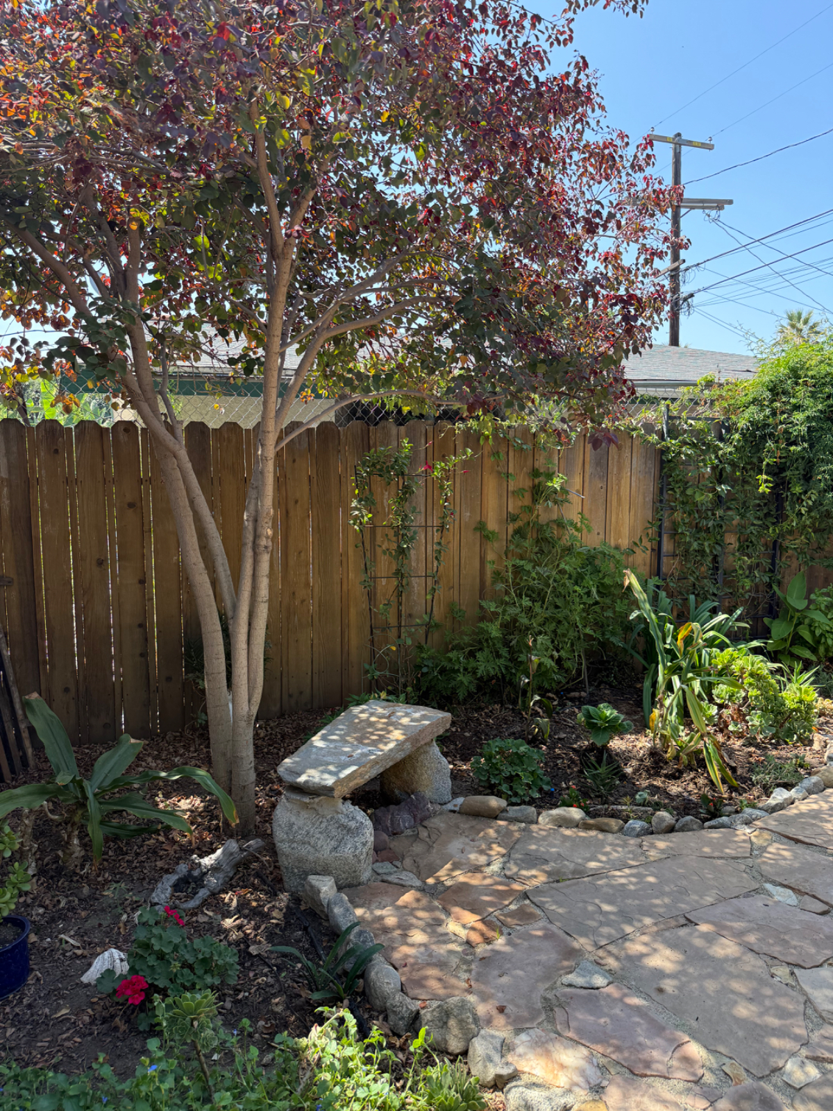 Cozy Bungalow near DTLA/Pasadena/Highland Park/Silverlake - Photo 5