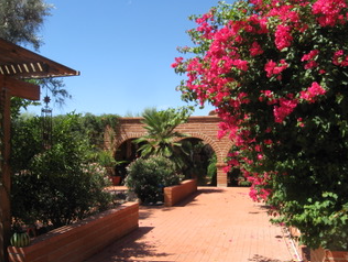 Foothills Guesthouse - Photo 4