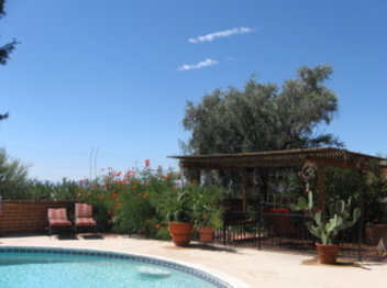 Foothills Guesthouse - Photo 8