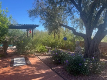 Foothills Guesthouse - Photo 10