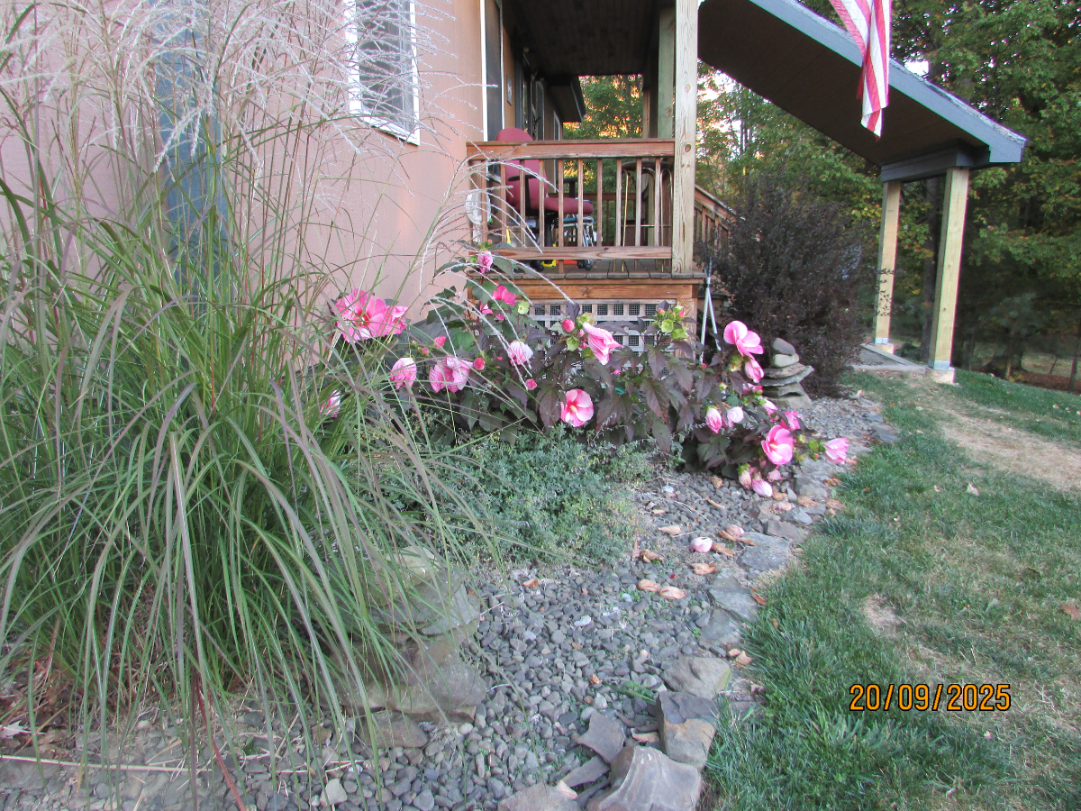 Disconnect, relax and breath deeply - Photo 3