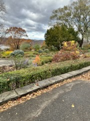 Comfortable 1BR/1BA Apartment Near Fort Tryon Park, Hospital, & Express Train - Quiet, Stylish, and  - Photo 12