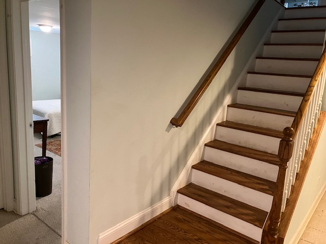 Cozy Furnished Basement Studio Across Little Forest Park - Outdoor Space & All  Utilities Included - Photo 9