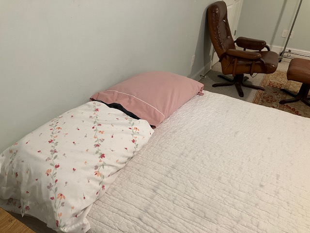 Cozy Furnished Basement Studio Across Little Forest Park - Outdoor Space & All Utilities Included - Photo 2