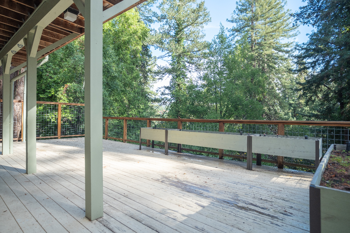 Gorgeous 1,100 sq ft Furnished In-Law Suite in Serene Woodacre - Photo 6