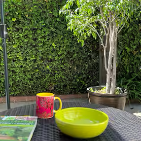 Beautiful Private Room, Private Bath, Walking Distance to Ucla - Photo 3