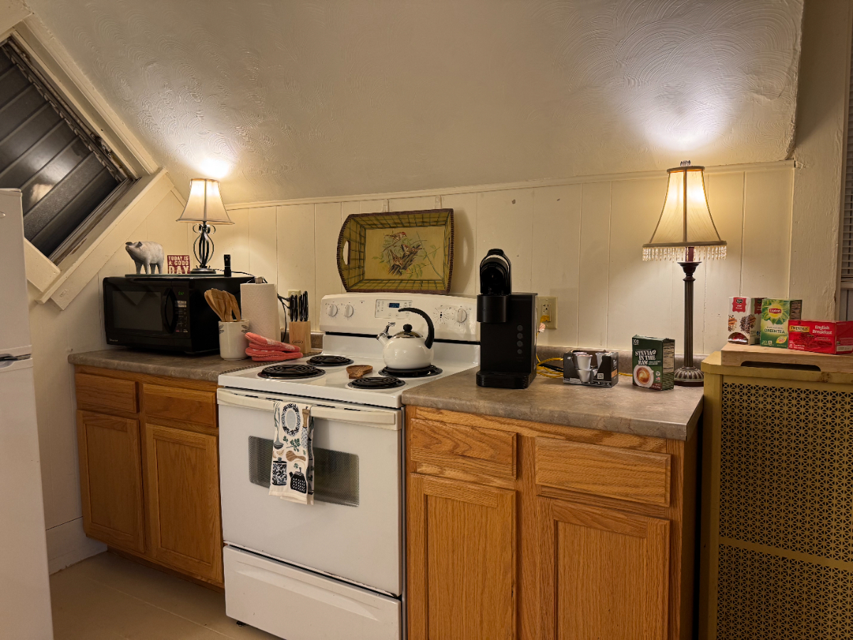 Cozy 1 bedroom apartment, fully furnished, near downtown - Photo 8