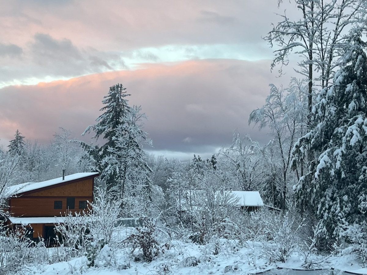 Mad River 1 bedroom suite on 93 acres of farm and forest - perfect for couples, singles, corporate & - Photo 11