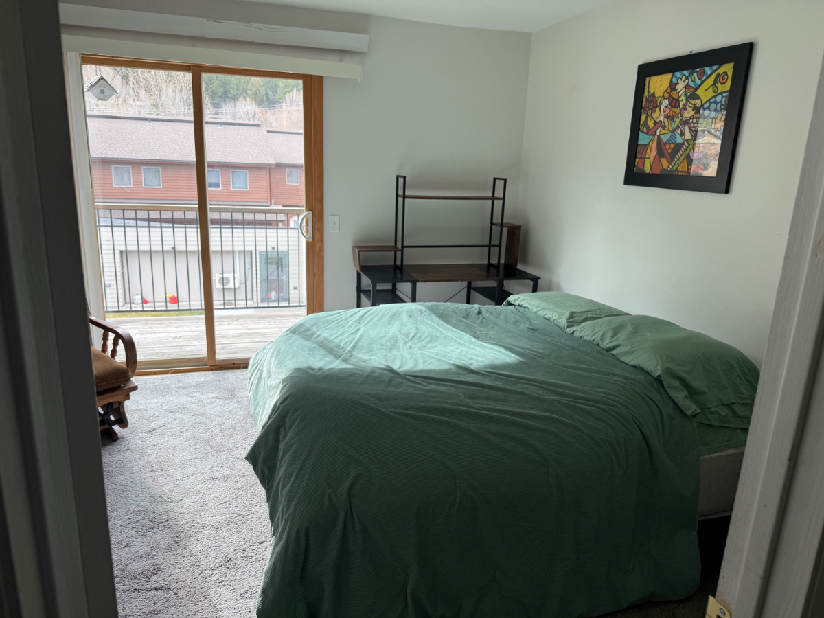 2 Bedroom Apartment next to Snow King Resort - Photo 11