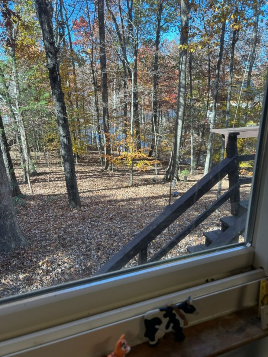 Private Room and Bathroom, shared space including deck that has lakeview. - Photo 12
