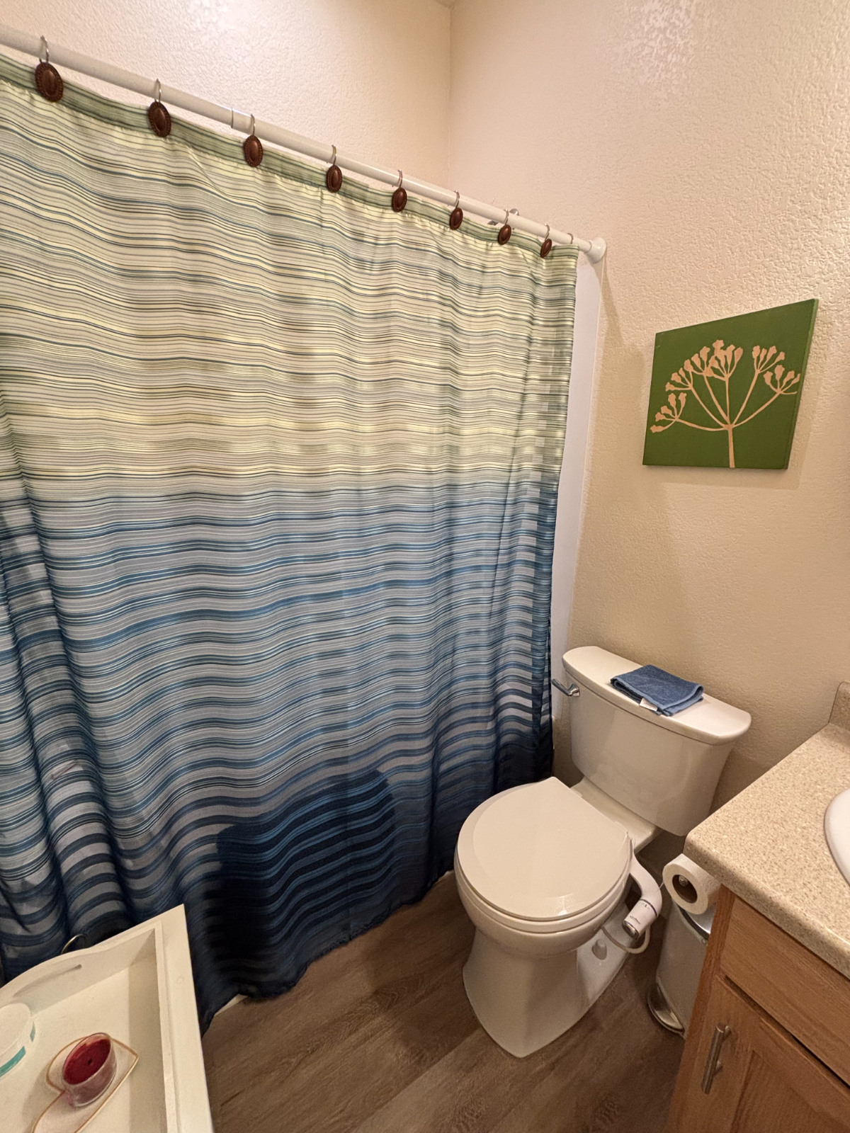 Cozy Bedroom with Shared Bath in Spacious Boulder Home - Photo 5