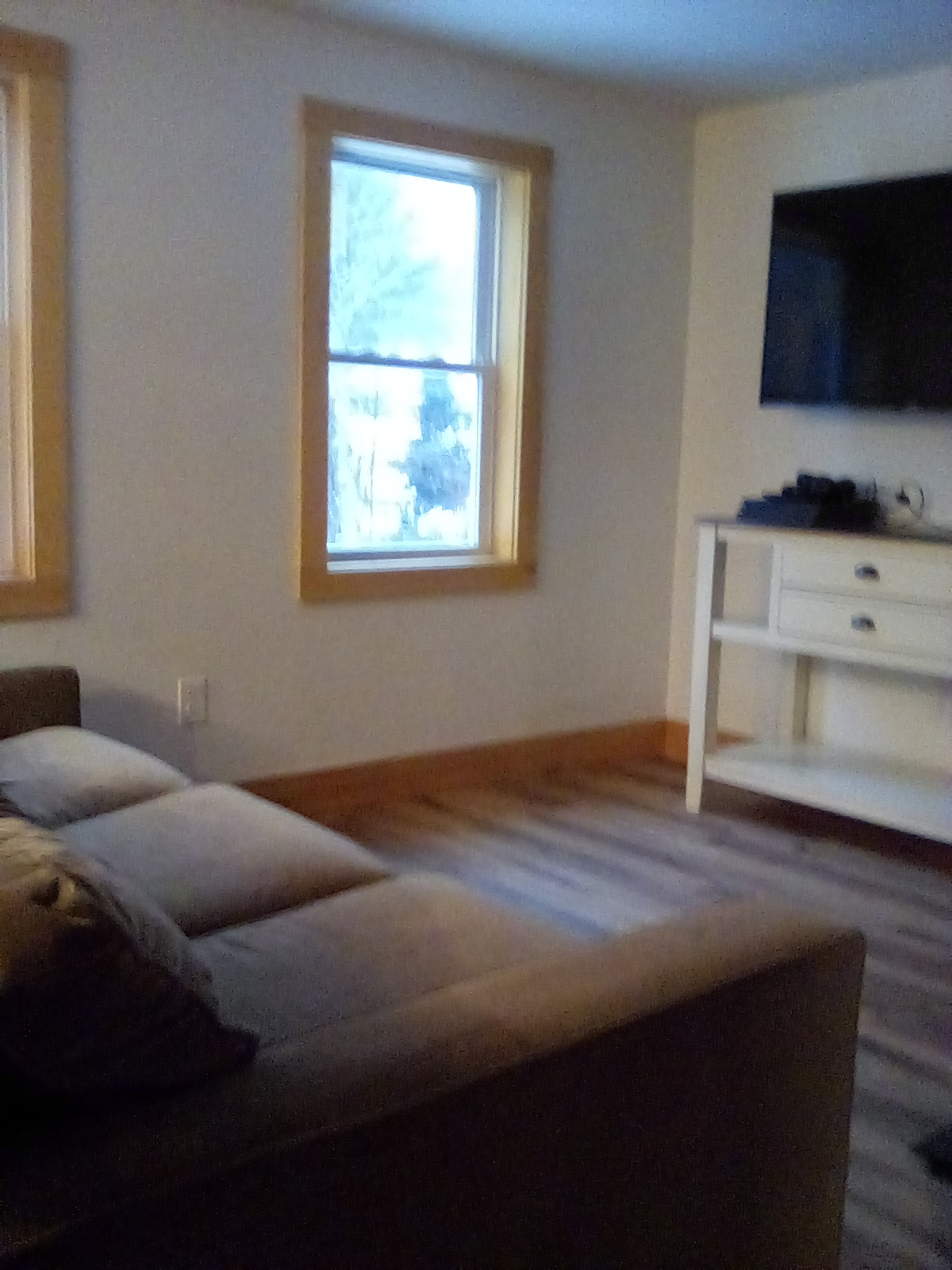 Recently Renovated Over-the-Garage 1 Bedroom - Photo 4