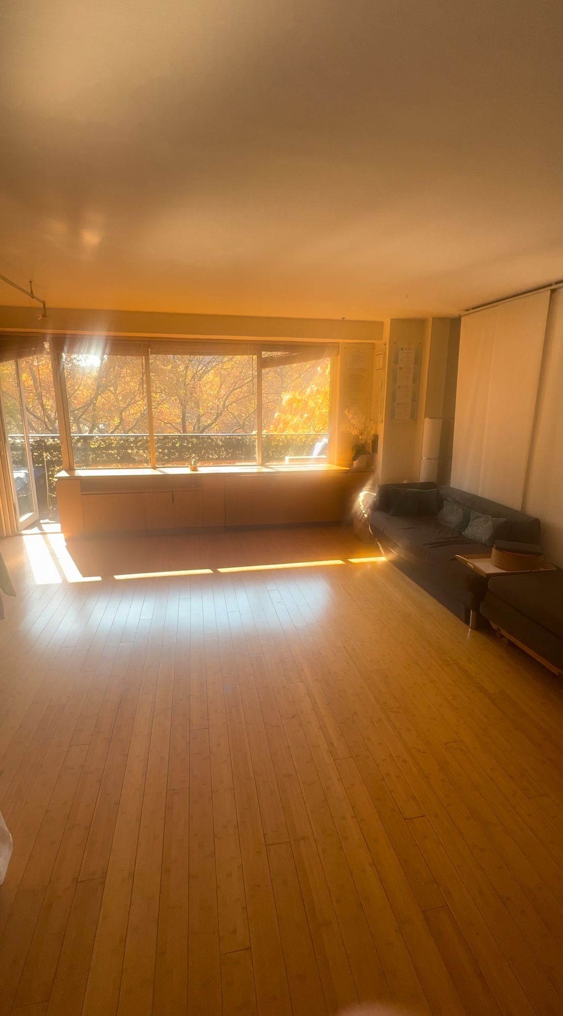Central Park West Apt with Sth Terrace - Photo 1
