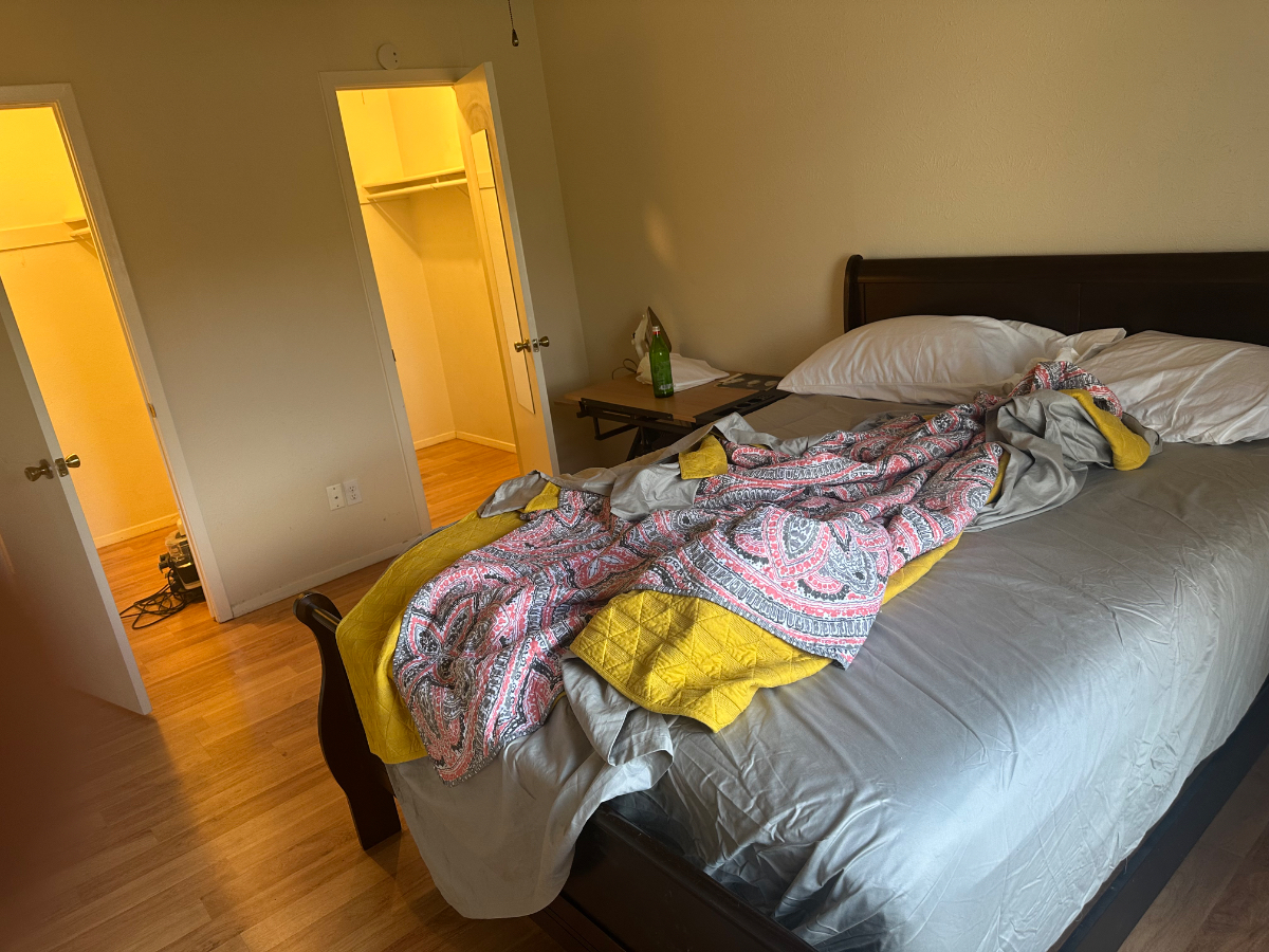 One or two bedrooms with peanut-shaped Pool & Palm-tree - Photo 3