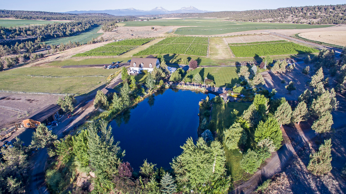 Beautiful home on Vineyard and Winery property with acres of property and Cascade Mountain Views - Photo 1